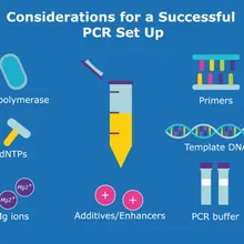 PCR setup thumbnail PCR setup thumbnail