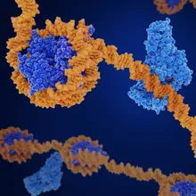 Image of methylated DNA Image of methylated DNA