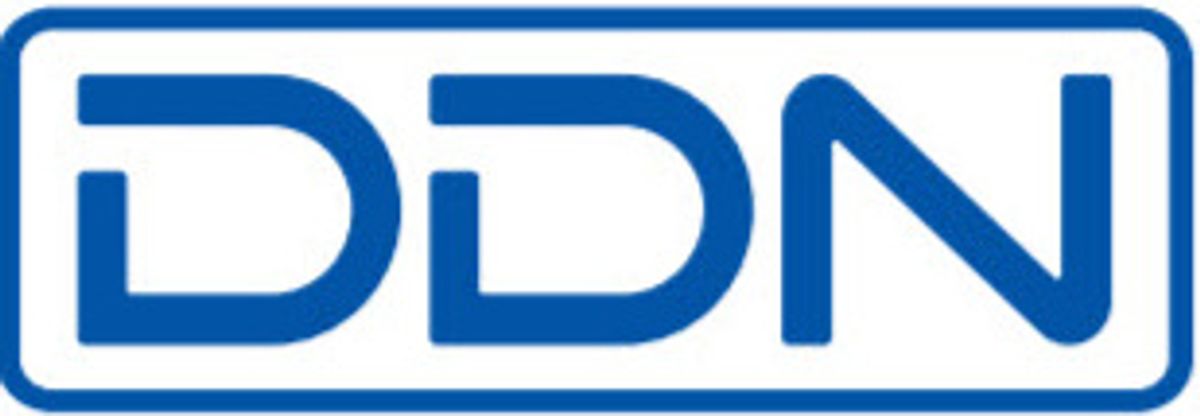 DDN logo