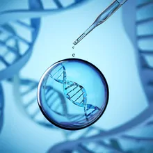 Optimizing Sample Homogenization | The Scientist