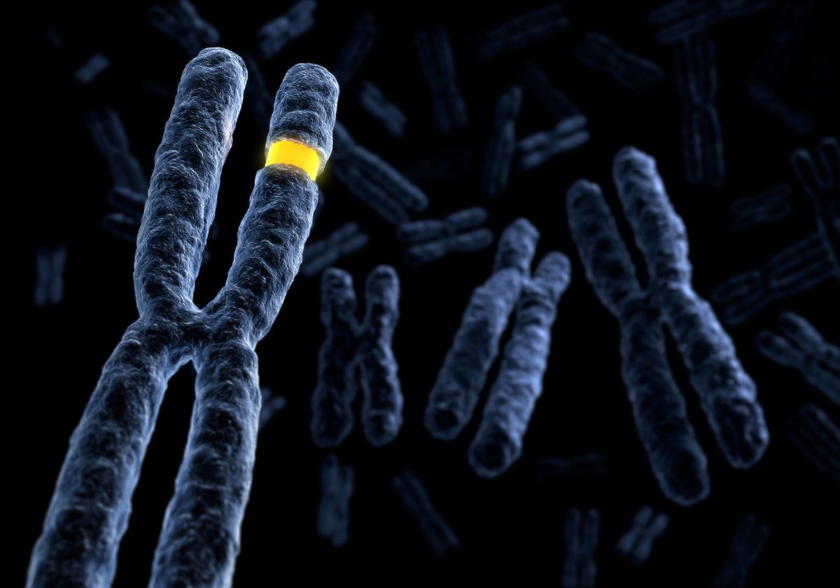 Immunity Genes May Play a Role in Down Syndrome - Vimarsana News