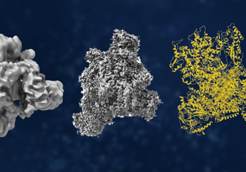 Cryo-EM: Building on a History of Invention and Innovation | The ...