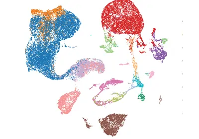 Scgraph A New AI Tool Predicts Gene Expression in a Single Cell | The Scientist