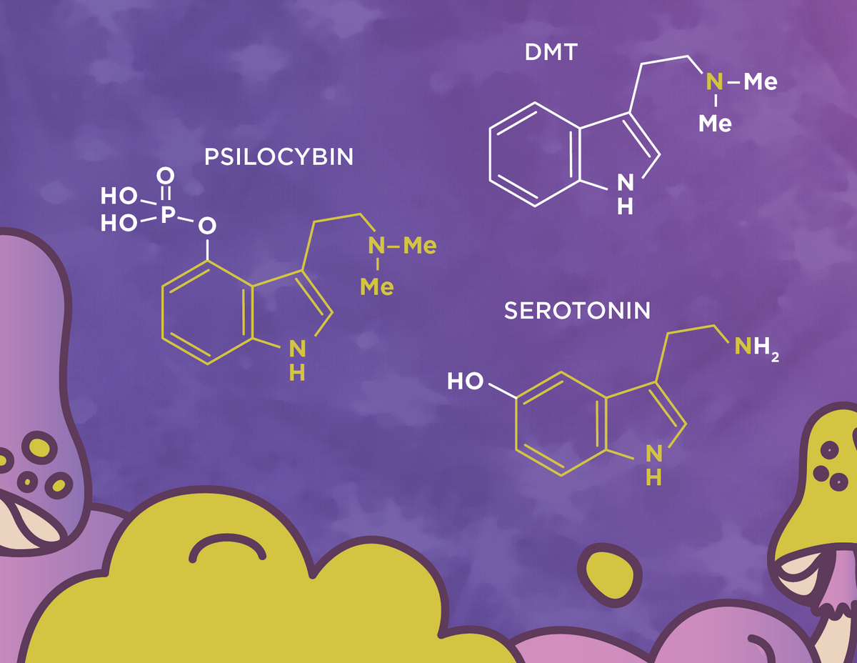 Serotonin Psilocybin Structure