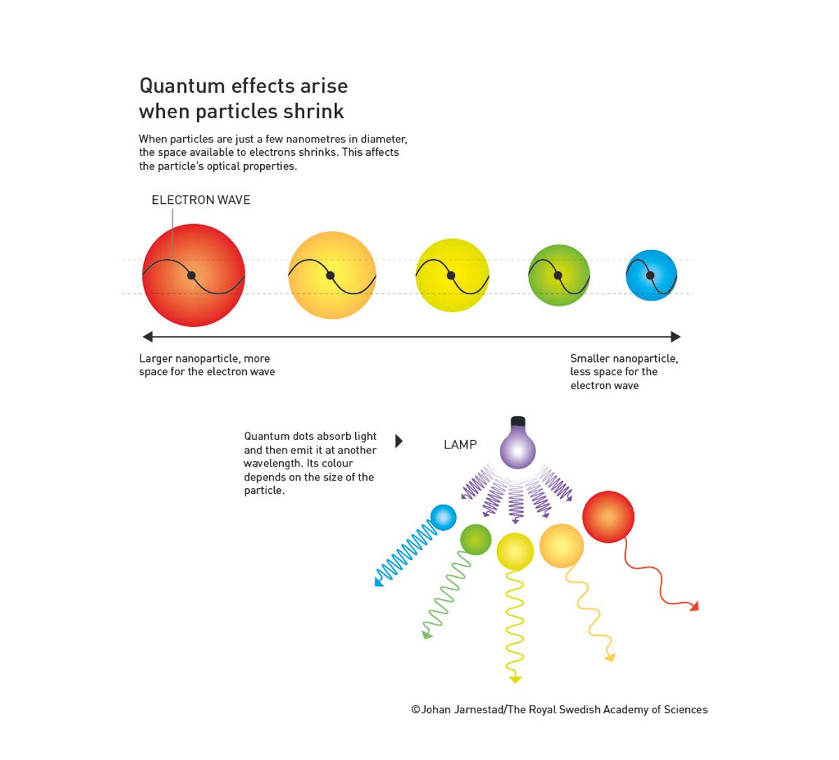 Nobel Prize in Chemistry for Quantum Dots The Scientist Magazine®