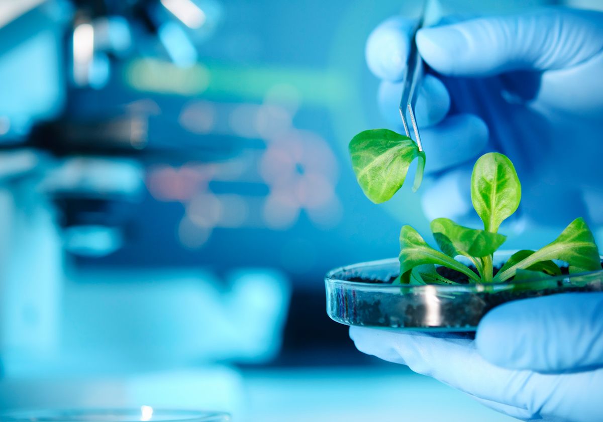Mean, Green, Antibody-producing Machines | The Scientist
