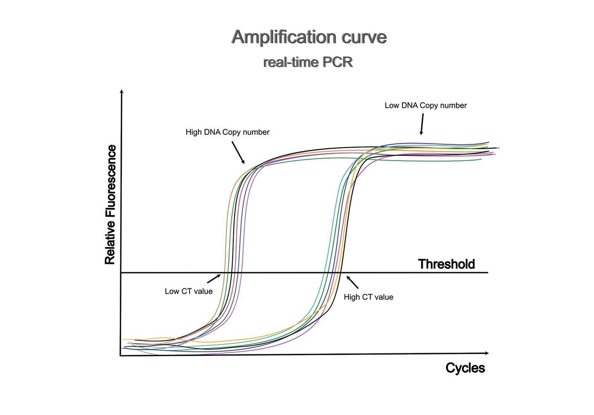 Qpcr Protocol