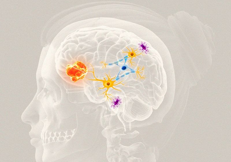 Hijacking Neurons’ Adaptive Abilities