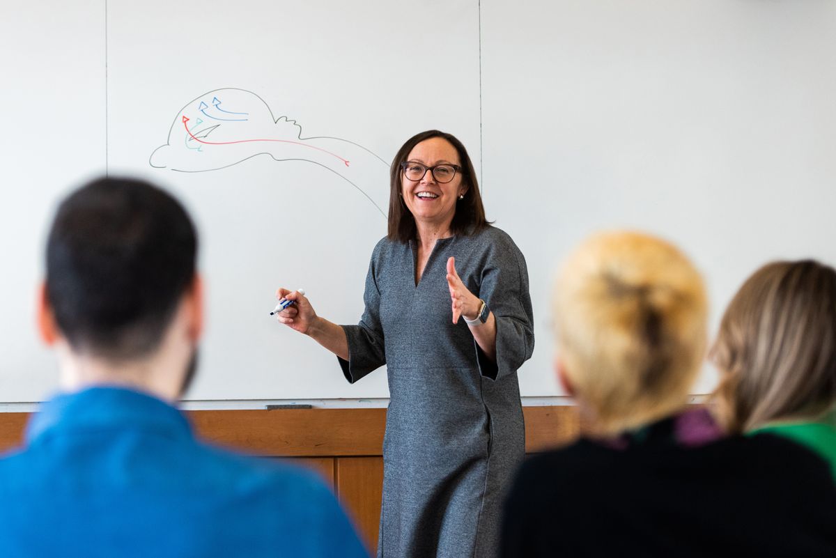 Developmental neurobiologist Paola Arlotta models brain development on a whiteboard. 