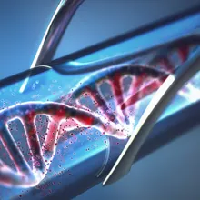 Red Dna Testing Nucleic Acids | The Scientist