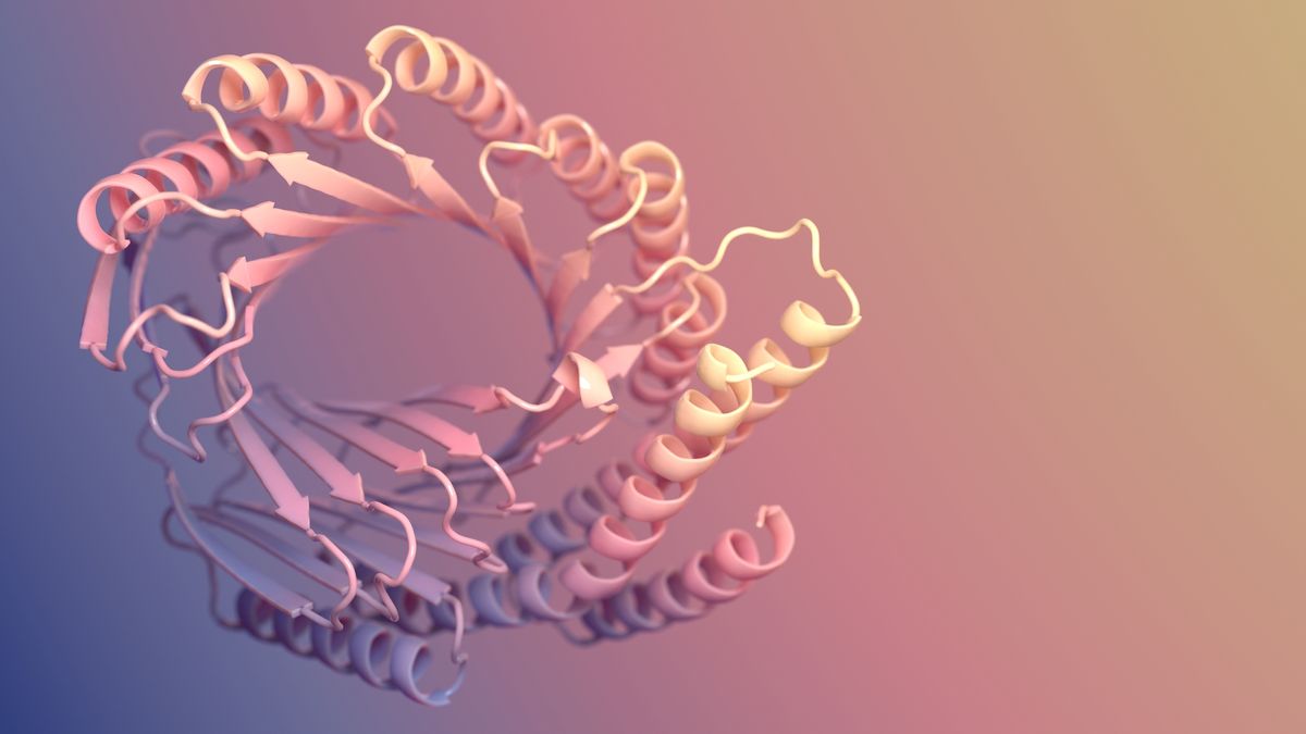 An illustration of a pink protein with helices and sheets.