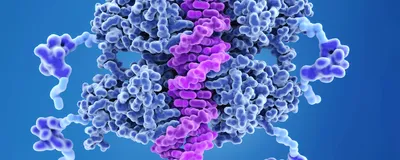 One Protein to Rule Them All | The Scientist