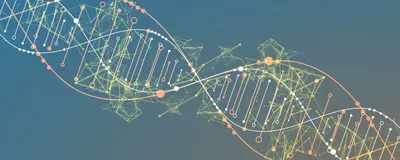 Precise Genomics Precise and Rapid Clinical Genomics Data Interpretation | The Scientist
