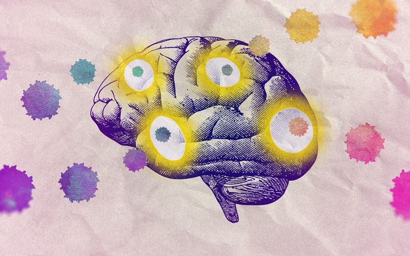 A Journey Into the Brain | The Scientist