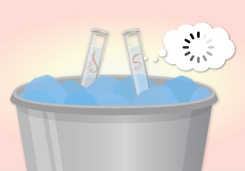 Icing Worms to Prolong Memory Icing Worms to Prolong Memory