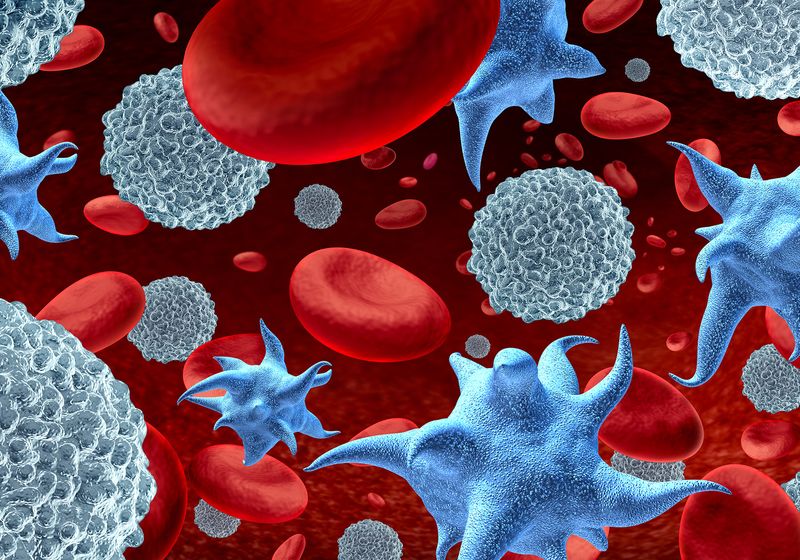 The Next Frontier: Circulating Tumor Cells and Liquid Biopsies | The ...