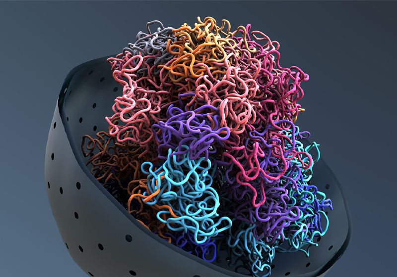 Gene Proximity to Nuclear Speckles Drives Efficient mRNA Splicing | The ...