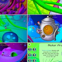 Science Art | The Scientist