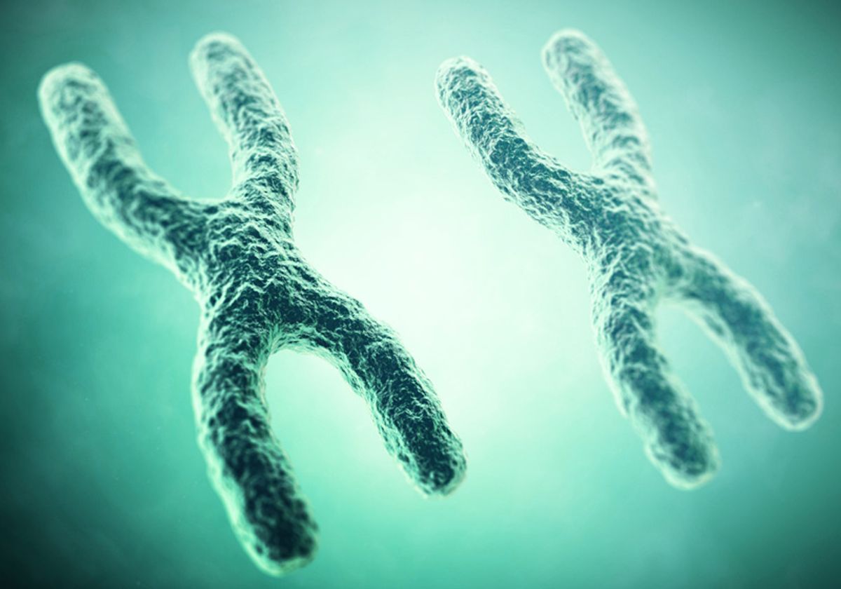 Genetic Signals Linked to X Chromosome Loss Later in Life | The
