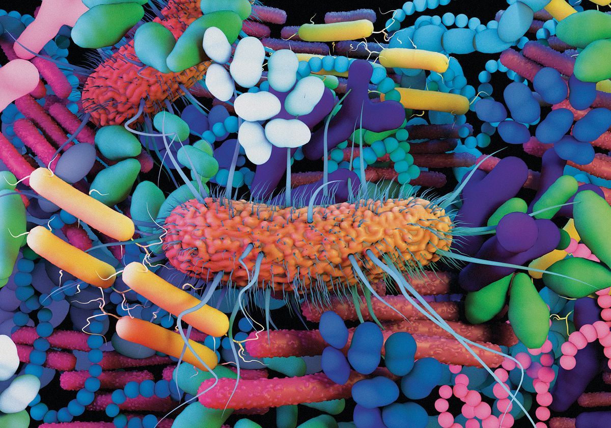洋楽 Cleanse the Bacteria - Various Artists Cleanse The Bacteria LP 1985 Pusmort – PUSMORT 0012-02 VG+/