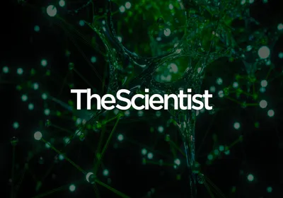 Synthetic Biology for Brain Disease Research