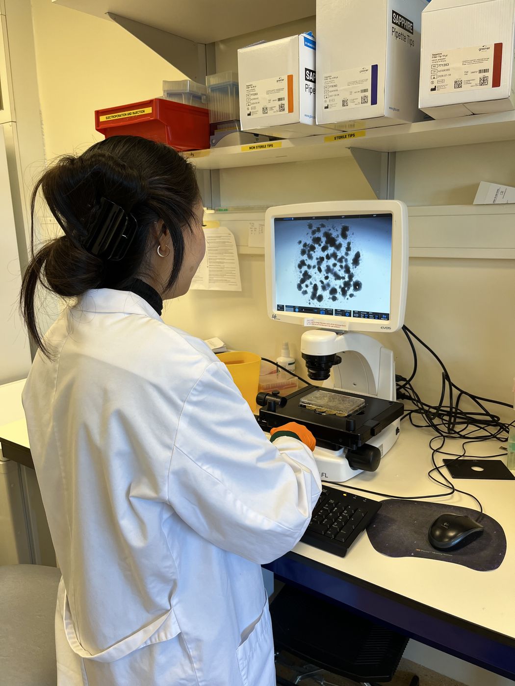 Image of Amanda Andersson-Rolf wearing a white lab coat. She faces away from the camera and looks at a monitor connected to a microscope. Image of Amanda Andersson-Rolf wearing a white lab coat. She faces away from the camera and looks at a monitor connected to a microscope.