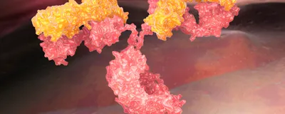 Enhancing Therapeutic Antibody Discovery with Cross-Platform Workflows