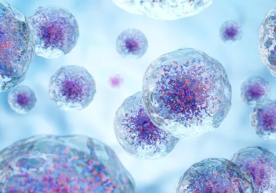 Discover a serum-free way to produce dendritic cells and macrophages for cell therapy applications.