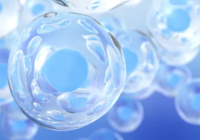 Discover how freezer and incubator design principles help scientists generate more consistent data for cell and gene therapy development.