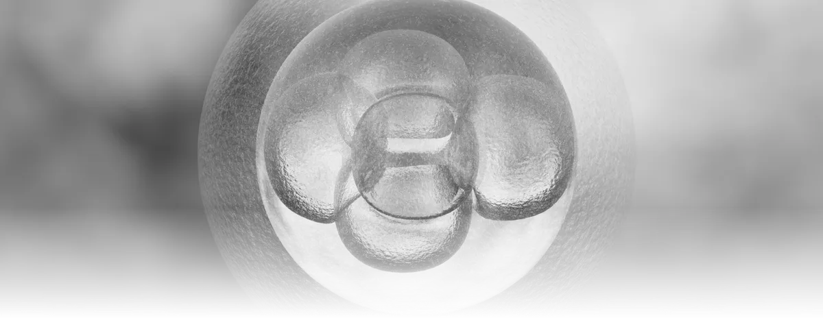 A greyscale image of cells dividing.