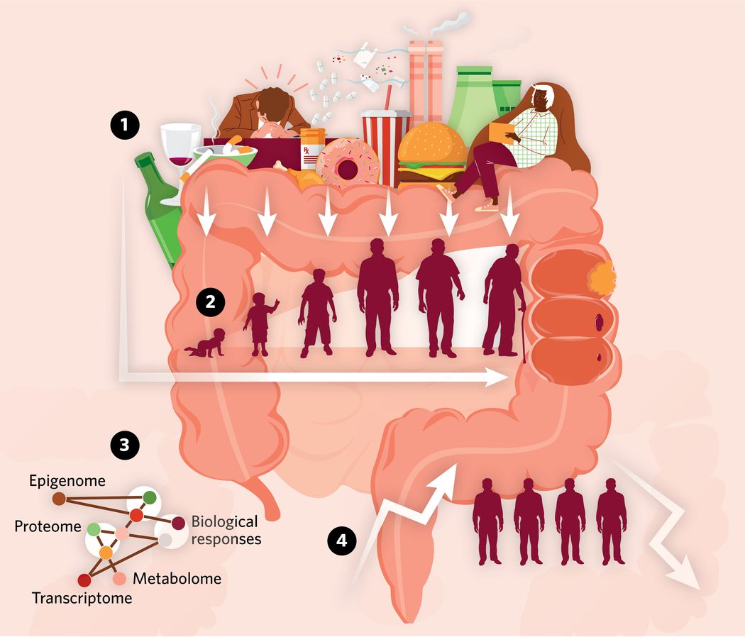 Illustration depicting a series of environmental exposure, such as a poor diet and pollution, that can occur throughout an individual's lifetime and have lasting impacts on cells and molecules.