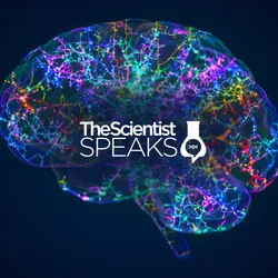 Multicolored 3D image of a human brain on a black background, depicting synaptic connections and electrical activity.