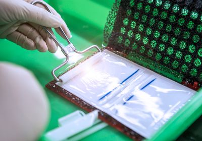 A researcher uses a roller to remove air bubbles between a gel and membrane before Western blot transfer