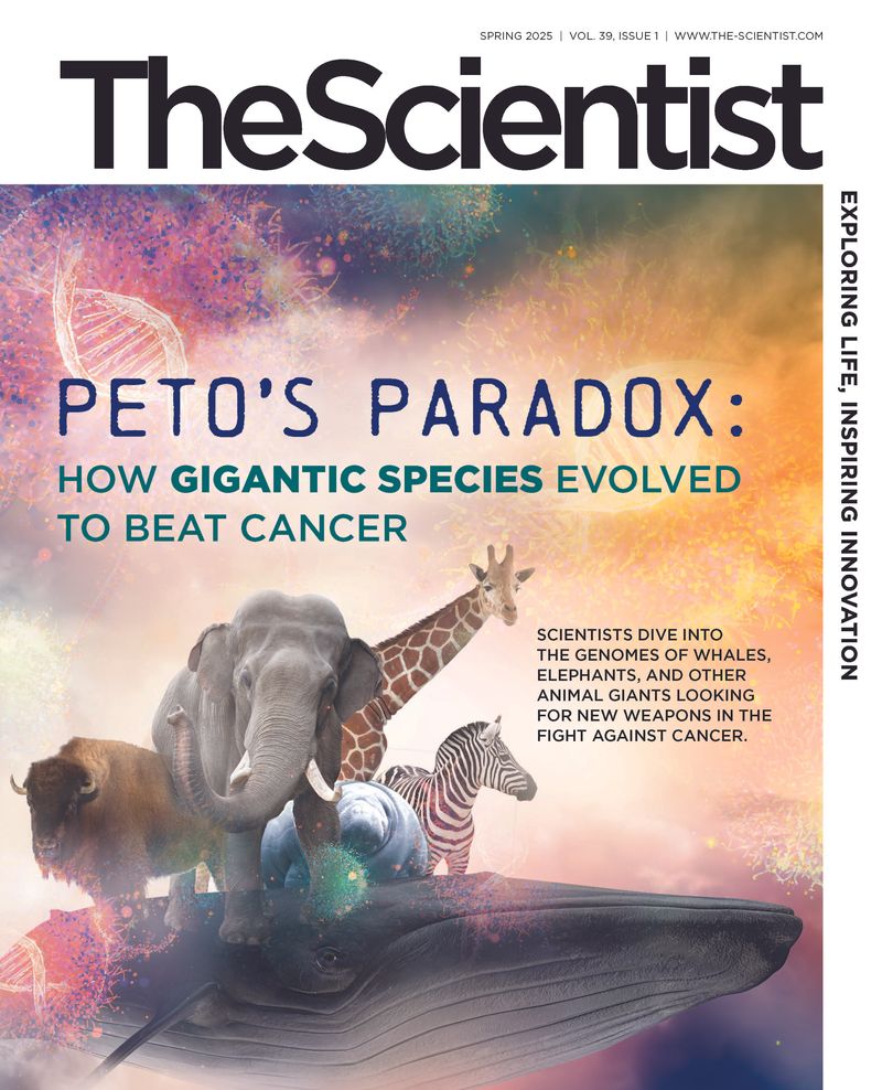 Issues | The Scientist Magazine® | The Scientist