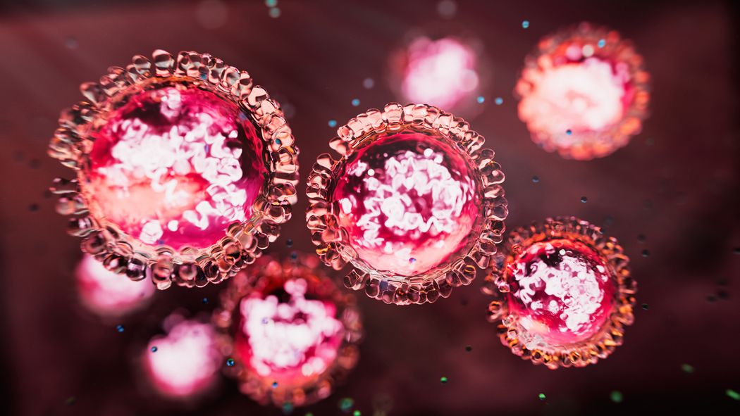 A pink 3D rendered image of measles virus particles. A pink 3D rendered image of measles virus particles.