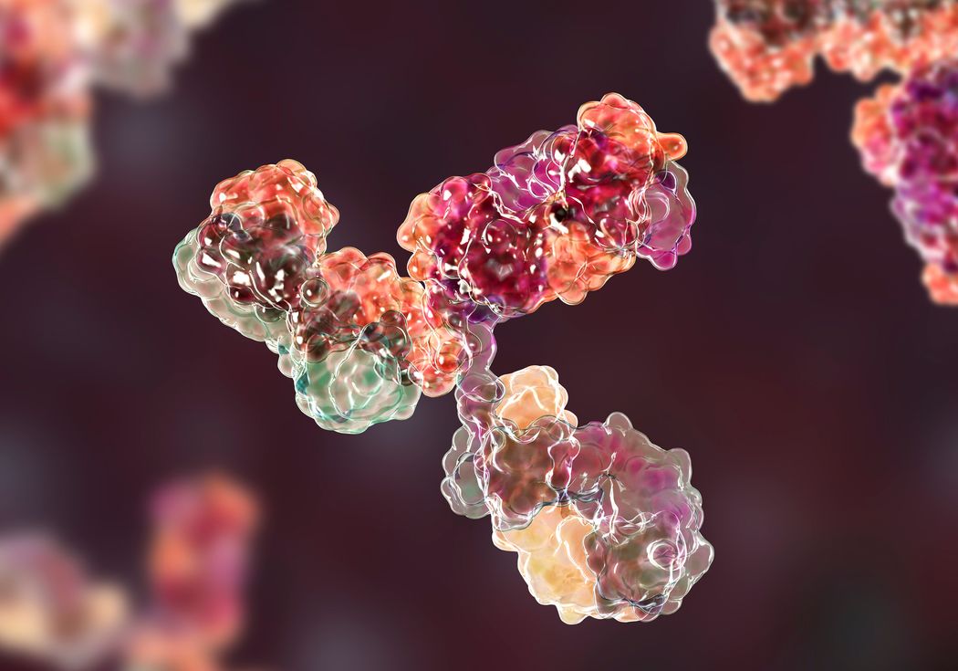 An illustration of colorful antibodies on a dark background. An illustration of colorful antibodies on a dark background.
