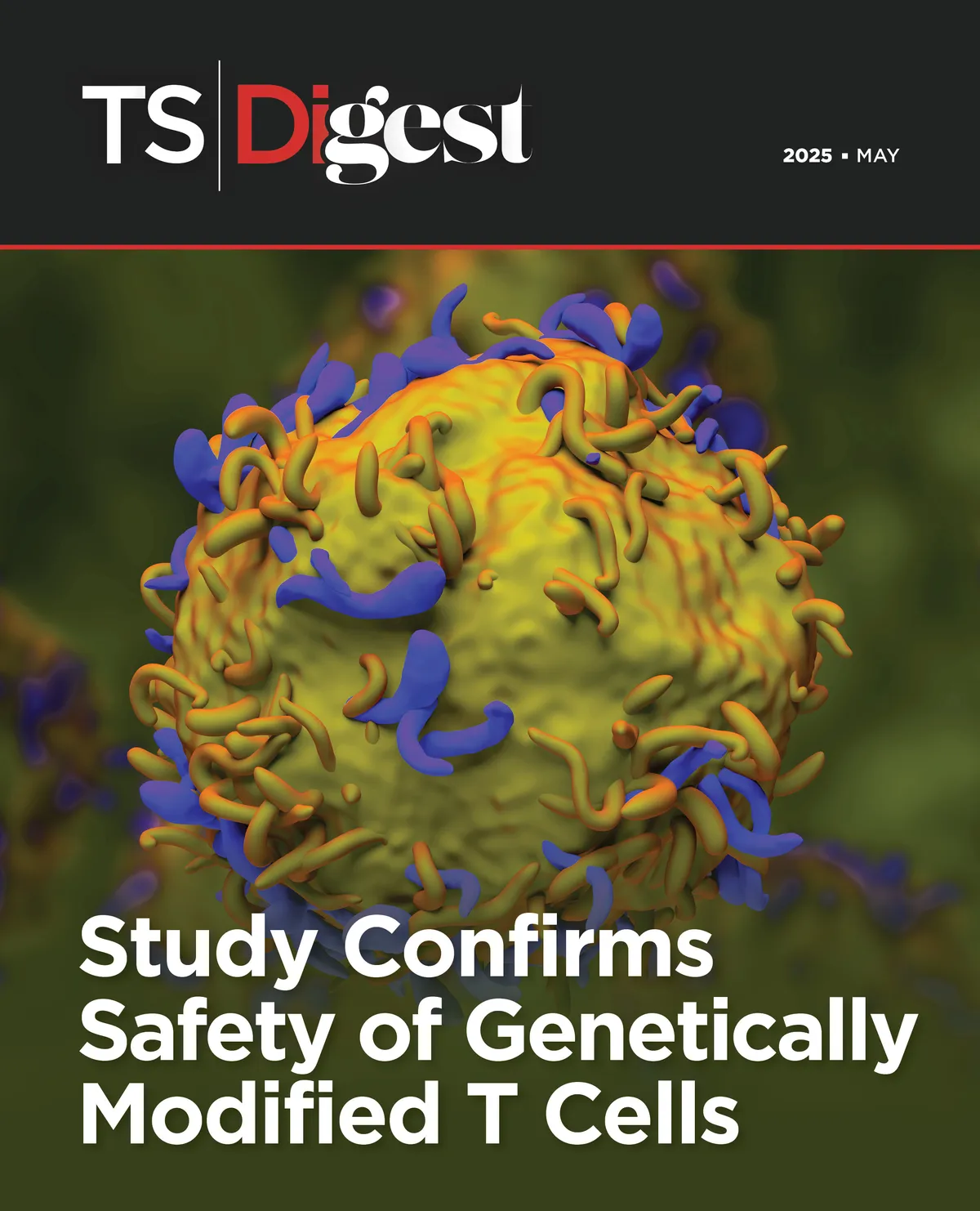 May digest 2025 cover