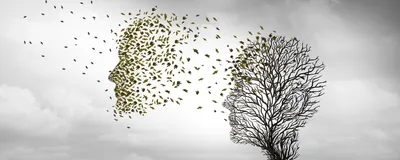 An abstract concept of cognitive impairment in Alzheimer’s disease depicted using the loss of leaves from a tree in the shape of a human face.