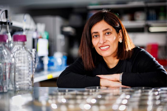 A picture of Nikta Fakhri, a biophysicist at Massachusetts Institute of Technology. A picture of Nikta Fakhri, a biophysicist at Massachusetts Institute of Technology.