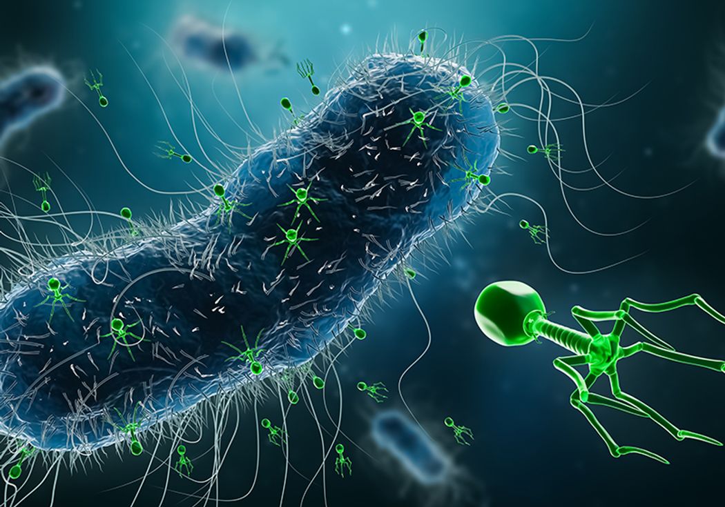 https://cdn.the-scientist.com/assets/image/48619/istock-1338313294-800x560-l.jpg