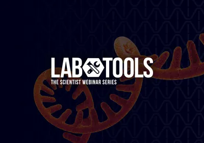 Unlocking the Unattainable in Gene Construction