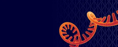 Unlocking the Unattainable in Gene Construction