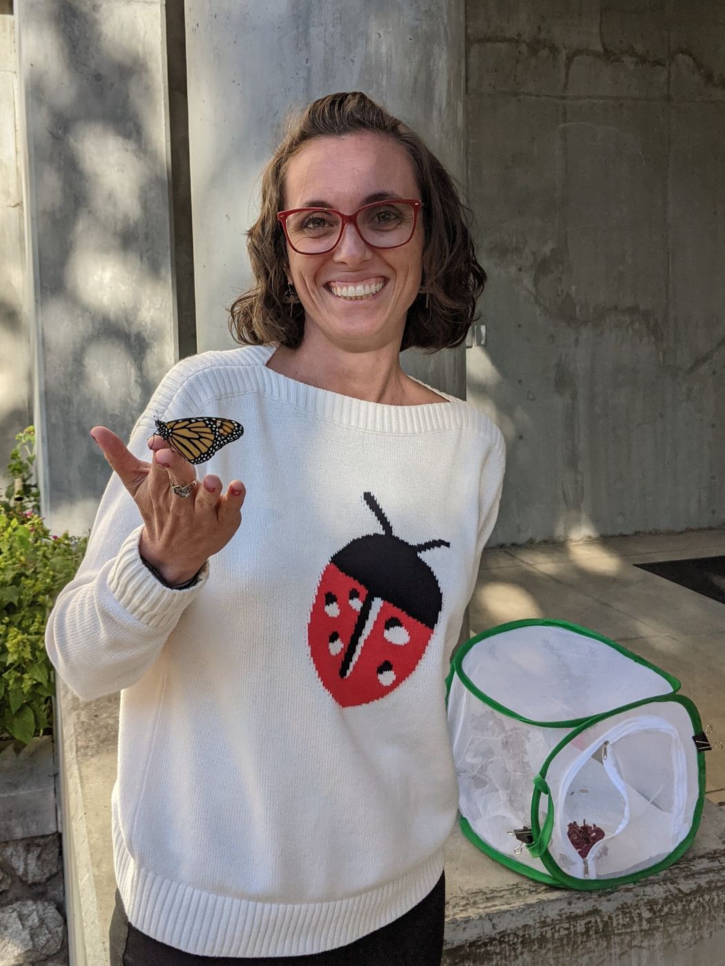 A photograph of Camila Filgueiras, an entomologist and nematologist. She is wearing a white sweater with a red ladybug on it and red-framed glasses. She has shoulder length brown hair and has one hand outstretched, where an orange butterfly is standing on her fingers. A photograph of Camila Filgueiras, an entomologist and nematologist. She is wearing a white sweater with a red ladybug on it and red-framed glasses. She has shoulder length brown hair and has one hand outstretched, where an orange butterfly is standing on her fingers.