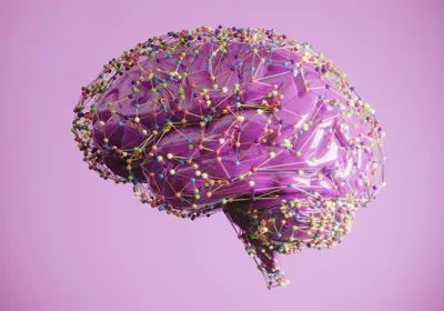 Conceptual image of brain biochemistry, showing a purple brain with a multicolored wireframe overlay.