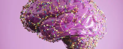 Conceptual image of brain biochemistry, showing a purple brain with a multicolored wireframe overlay.
