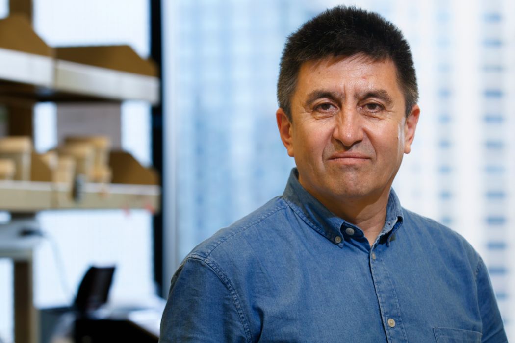 Shoukhrat Mitalipov, wearing a blue shirt looks at the camera. Shoukhrat Mitalipov, wearing a blue shirt looks at the camera.