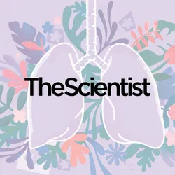 Exploring the Gut-Lung Axis in Health and Disease Exploring the Gut-Lung Axis in Health and Disease