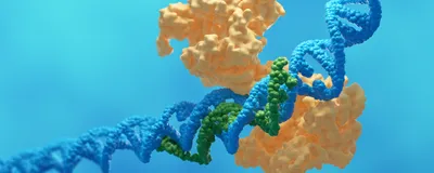 The Future of CRISPR