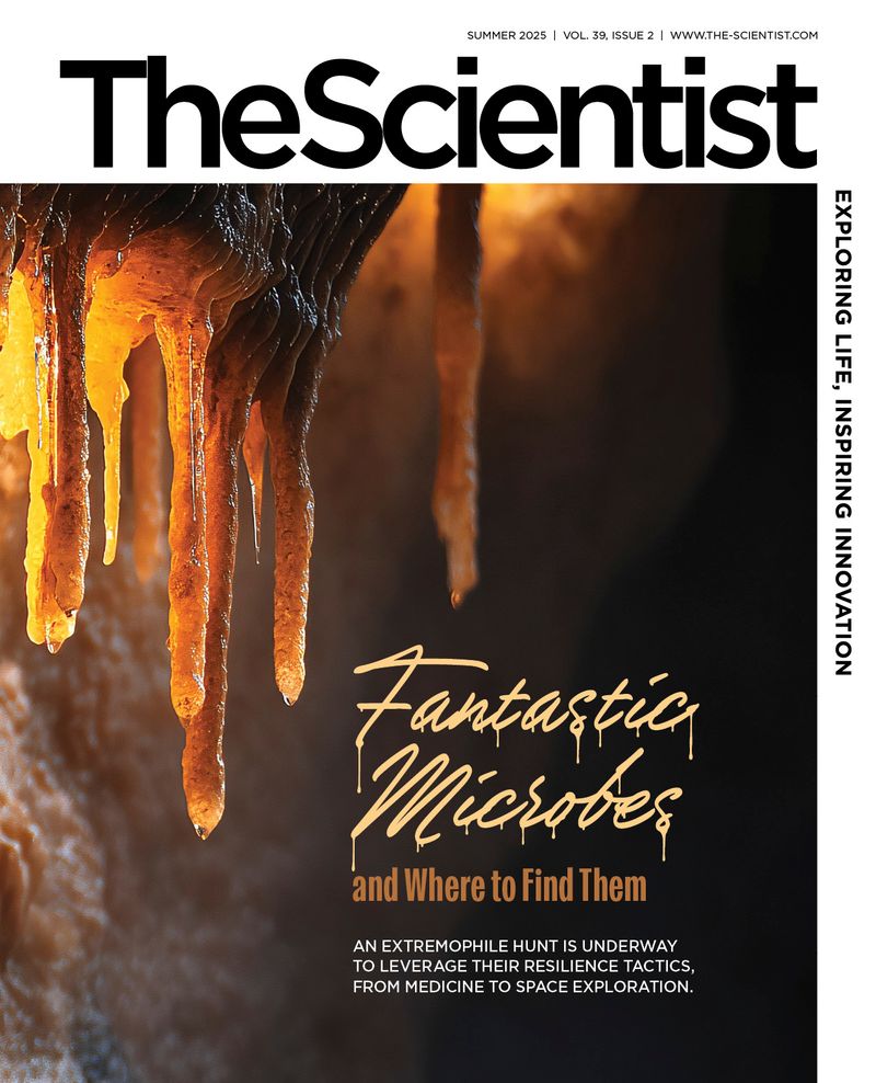 The Scientist Magazine Issue | June 2025 | Fantastic Microbes and
