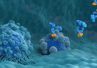 3D illustration of dark blue tumors surrounded by light blue organ tissue. Dark blue monoclonal antibodies with gold tips are descending down from the right to attach onto the tumors.